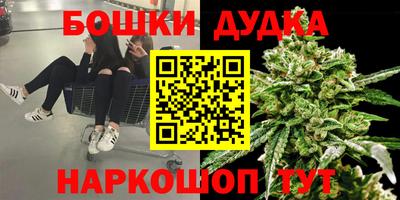 стафф Ленинск-Кузнецкий